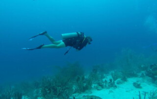 Scuba Diving in Aruba