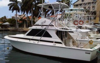 Teaser - Fishing Charters