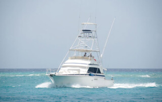 Sea-iesta - Fishing Charters