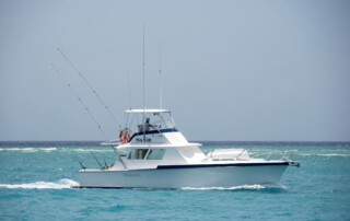 Mahi Mahi - Fishing Charters